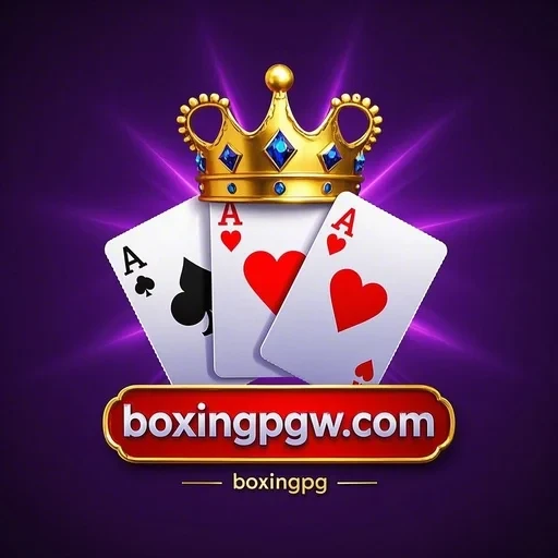 A Importância da Comunidade no Boxingpg